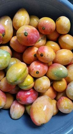 a blue bowl filled with lots of mangoes