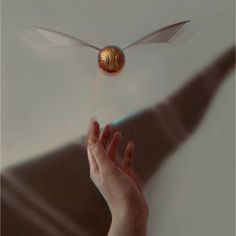 a person's hand reaching out towards a flying object with its wings spread in the air