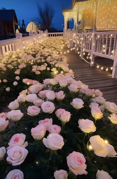 white roses are lined up along the side of a wooden deck with fairy lights on it