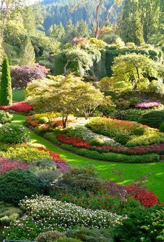 the garden is full of colorful flowers and trees