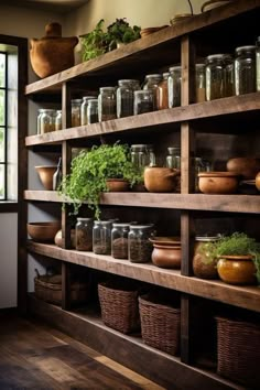 shelves filled with lots of different types of plants and containers on top of each shelf