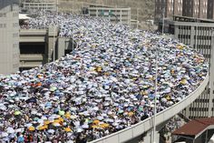 a large group of people holding umbrellas on top of a bridge in the city