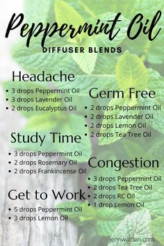 Diffuser Blends Peppermint, Peppermint Essential Oil Uses Diffuser, Headache Diffuser Blends Young Living, Peppermint Oil Blends, Clean Essential Oil Blends, Peppermint Diffuser Blend, Peppermint Essential Oil Blends, Oil Blends To Diffuse, Diffuser Oil Blends