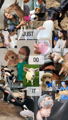 collage of photos with dogs, people and words that say just don't