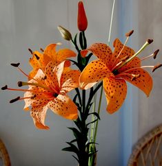 an orange flower in a vase on a table