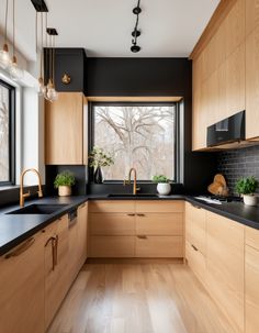 a kitchen with wooden cabinets and black counter tops, along with potted plants on the window sill