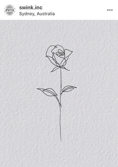 a drawing of a single rose on paper with the words swink inc sydney, australia