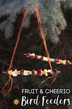 fruit and cheerio bird feeders hanging from a pine tree with text overlay