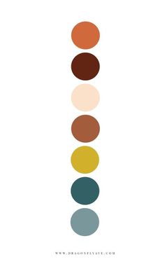 the color wheel is shown with different colors and shapes in each section, including brown, green