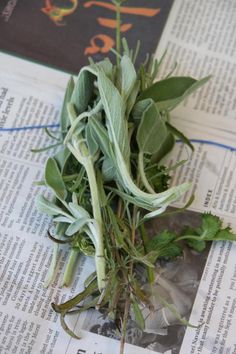 fresh herbs are laying on top of an open book