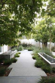 an outdoor garden with concrete benches, trees and plants on either side of the walkway