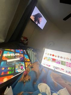 a dog laying on top of a bed under a flat screen tv next to a laptop computer