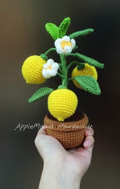 a crocheted pineapple plant with white flowers