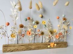 an arrangement of flowers and feathers on a shelf