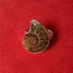 100% Solid Sterling Silver. Gemstone(S): Ammonite Fossil (Genuine). Total Weight: 5.4 Grams. Ring Size: 7, 7.75 Main Gemstone Size/Head Size: 20 X 16mm. Unique And Handcrafted Claddaugh Ring, Shifting Closet, Jelly Opal, Piercing Inspo, Moonstone Ring Sterling Silver, Ammonite Fossil, Portfolio Ideas, Turquoise Ring Silver, Sterling Silver Filigree