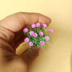 a person holding a tiny pink flower in their hand