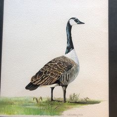 a painting of a goose standing in the grass