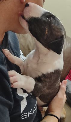 a woman is holding a small dog in her lap and kissing it's face