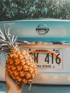 a person holding up a pineapple in front of a car with the license plate of hawaii on it