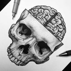 a drawing of a human skull with a brain on it