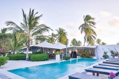 an outdoor swimming pool surrounded by palm trees