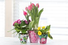 three flower pots with flowers in them sitting on a table