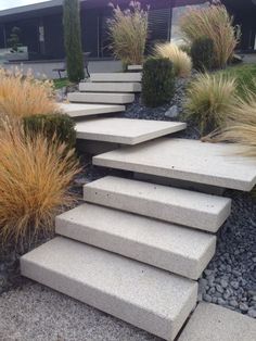 concrete steps lead up to the front yard