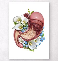 an illustration of the human stomach with flowers