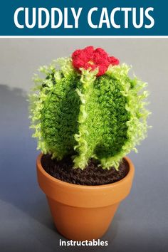 a crocheted cactus sitting in a pot with the words cuddly cactus on it