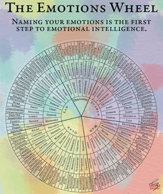 the emotions wheel is shown with words on it