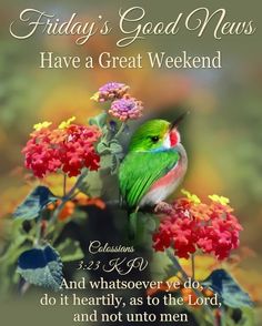 a green bird sitting on top of a red flower next to a quote that says friday's good news have a great weekend