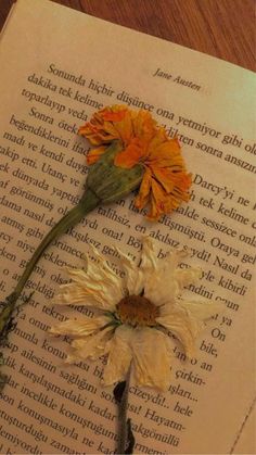 an open book with two flowers on it