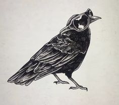 a drawing of a black bird sitting on top of a piece of paper