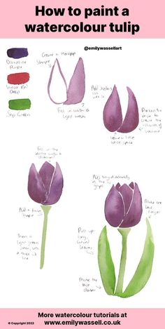 how to paint a watercolor tulip