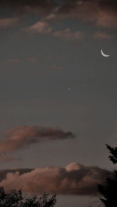 the moon and venus are visible in the night sky above some tree tops at dusk