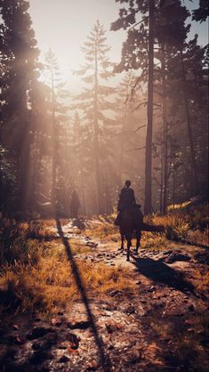 two people riding horses through the woods on a trail in the sunbeams at sunset