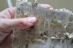 a hand holding a piece of wood that has been stripped off and chipped with white paint