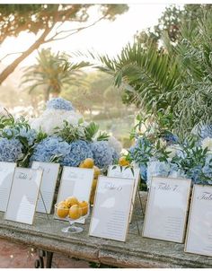 a table with blue and white flowers and place cards on it for guests to write their names