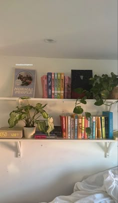 some books and plants are sitting on a shelf