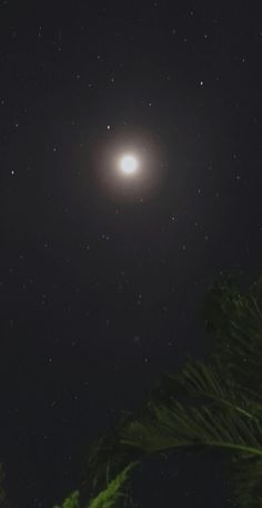 a bright light shines in the dark night sky above some green leaves and trees