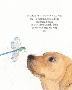 a watercolor drawing of a dog looking at a dragonfly