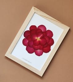 a red flower is displayed in a wooden frame