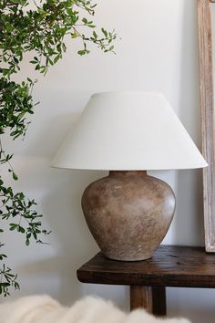 a lamp sitting on top of a wooden table next to a potted green plant