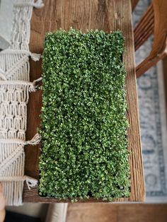 a wooden table topped with green plants on top of it