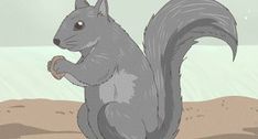 a drawing of a squirrel standing on its hind legs and looking at the ground while eating something