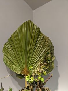 a large palm tree with green leaves in a room