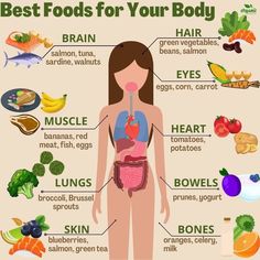 Pasti Fit, Makanan Rendah Kalori, Smoothies Vegan, Food Health Benefits, Resep Diet, Makanan Diet, Idee Pasto Sano, The Human Body, Health Facts