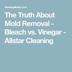 the truth about mold removal - bleach vs vinegar all star cleaning services logo