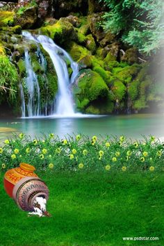 an image of a waterfall in the grass with flowers and rocks around it, as well as a bucket full of water