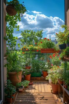 an open door leading to a balcony garden with potted plants and flowers on it